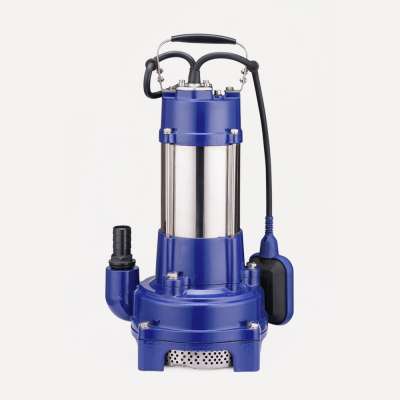 China made 0.6kw stainless steel electric submersible pumps sea water pump with float switch